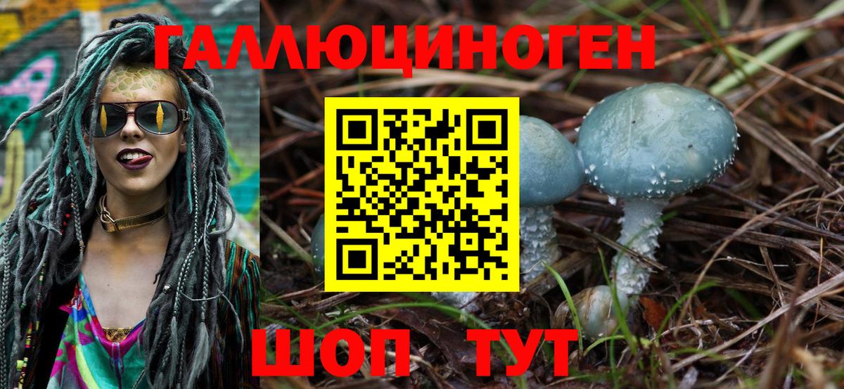 Галлюциногенные грибы Cubensis  Вход с VPN  Тосно 